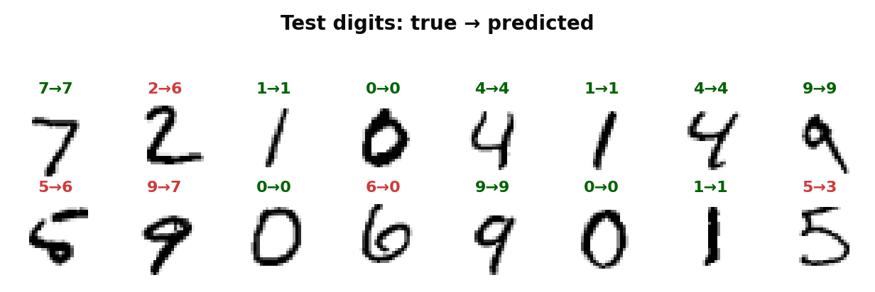 MNIST predictions from the NumPy network