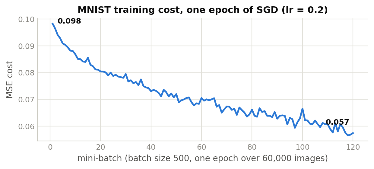 MNIST results across training
